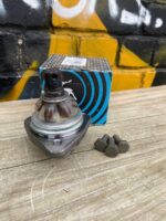 Шаровая Соболь нижняя